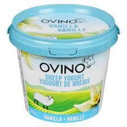 Ovino 2% Vanilla Sheep Yogurt