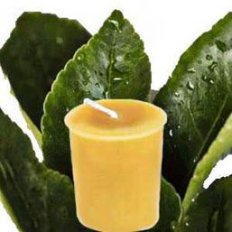 Honey Candles Essential Votive - Citronella