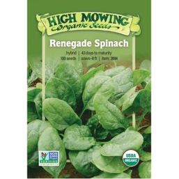 High Mowing Organic Seeds Seeds - Renegade F1 Spinach