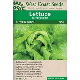 West Coast Seeds Seeds - Buttercrunch Lettuce