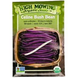 High Mowing Organic Seeds Celine Bush Bean - 100 seeds