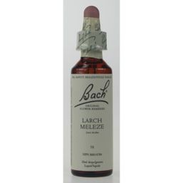 Bach Larch