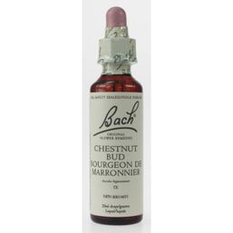 Bach Chestnut Bud