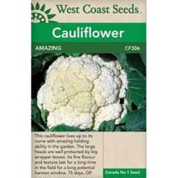 West Coast Seeds Seeds - Amazing Cauliflower