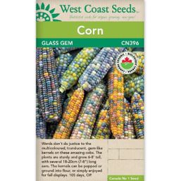West Coast Seeds Seeds - Corn, Glass Gem, Certified Organic