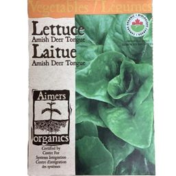 Seeds - Lettuce Amish Deer Tongue