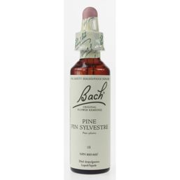 Bach Pine