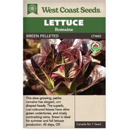 West Coast Seeds Seeds - Breen Mini Lettuce Certified Organic