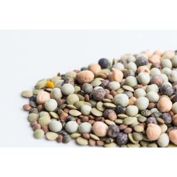 Mumm's Sprouting Seeds Crunchy Bean Mix