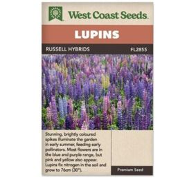 West Coast Seeds Seeds - Russell Hybrids Lupins