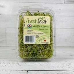 Fresh Leaf Organic - AB Alfalfa & Garlic Sprouts