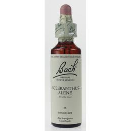 Bach Scleranthus