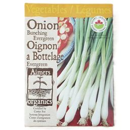 Aimers Organics Evergreen Bunching Onions