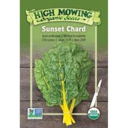 High Mowing Organic Seeds Sunset Chard