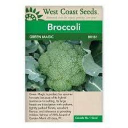 West Coast Seeds Seeds - Green Magic F1