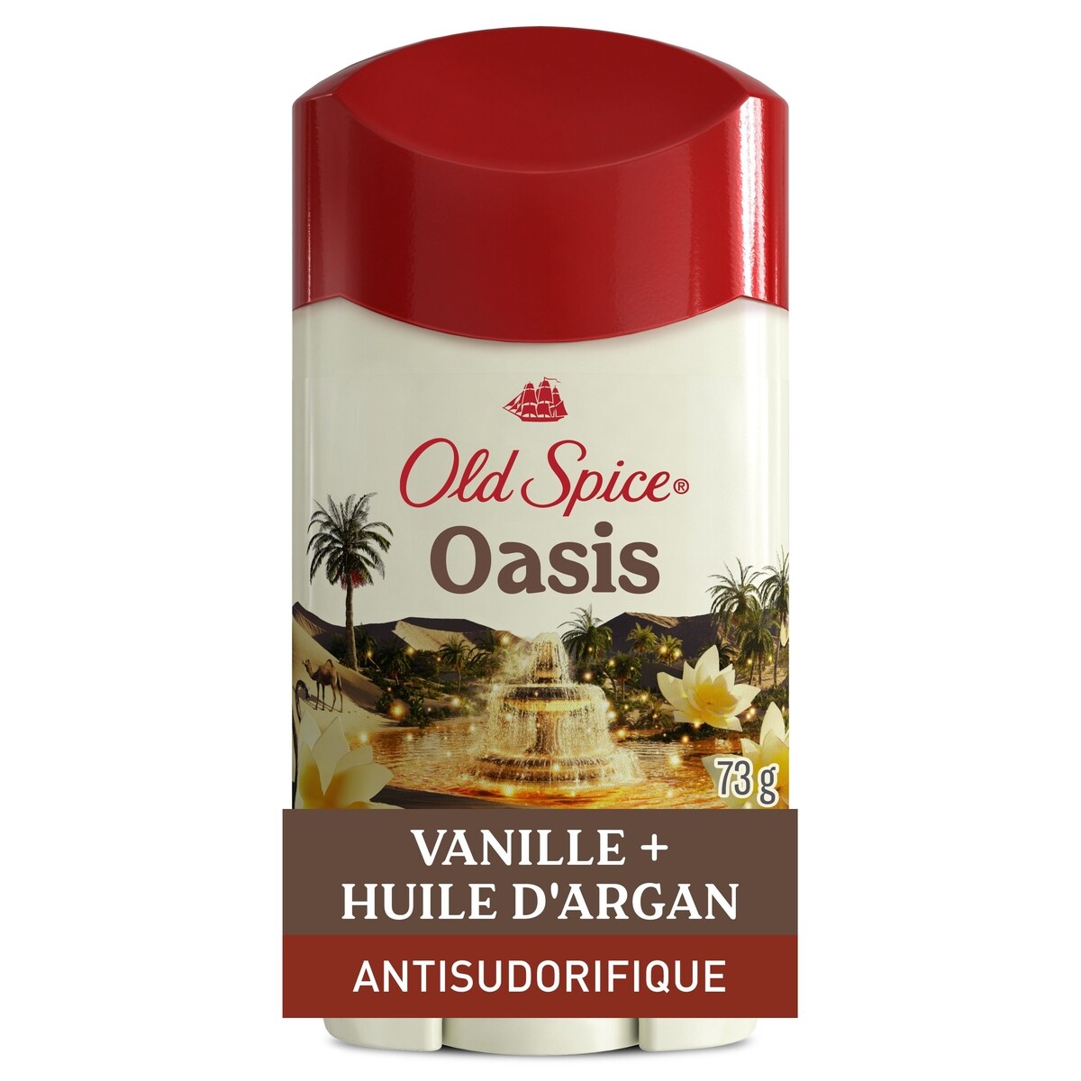 Antisudorifique et désodorisant pour hommes, parfum Oasis, fraîcheur et protection contre la transpiration durables 24heures sur 24, 7jours sur 7, 73g