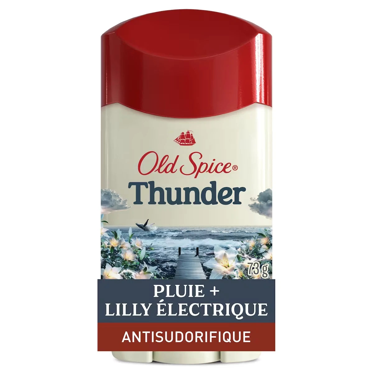Antisudorifique et désodorisant pour hommes, parfum Tonnerre, fraîcheur et protection contre la transpiration durables 24heures sur 24, 7jours sur 7, 73g