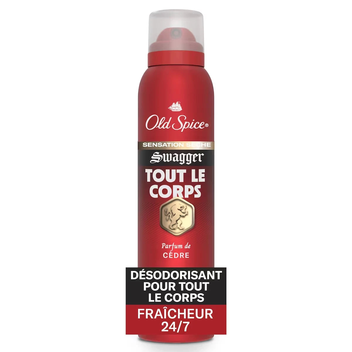 Désodorisant Tout le corps pour hommes, Swagger, vaporisateur sans aluminium pour une fraîcheur&nbsp;24&nbsp;heures sur&nbsp;24, 7&nbsp;jours sur&nbsp;7, 99&nbsp;g