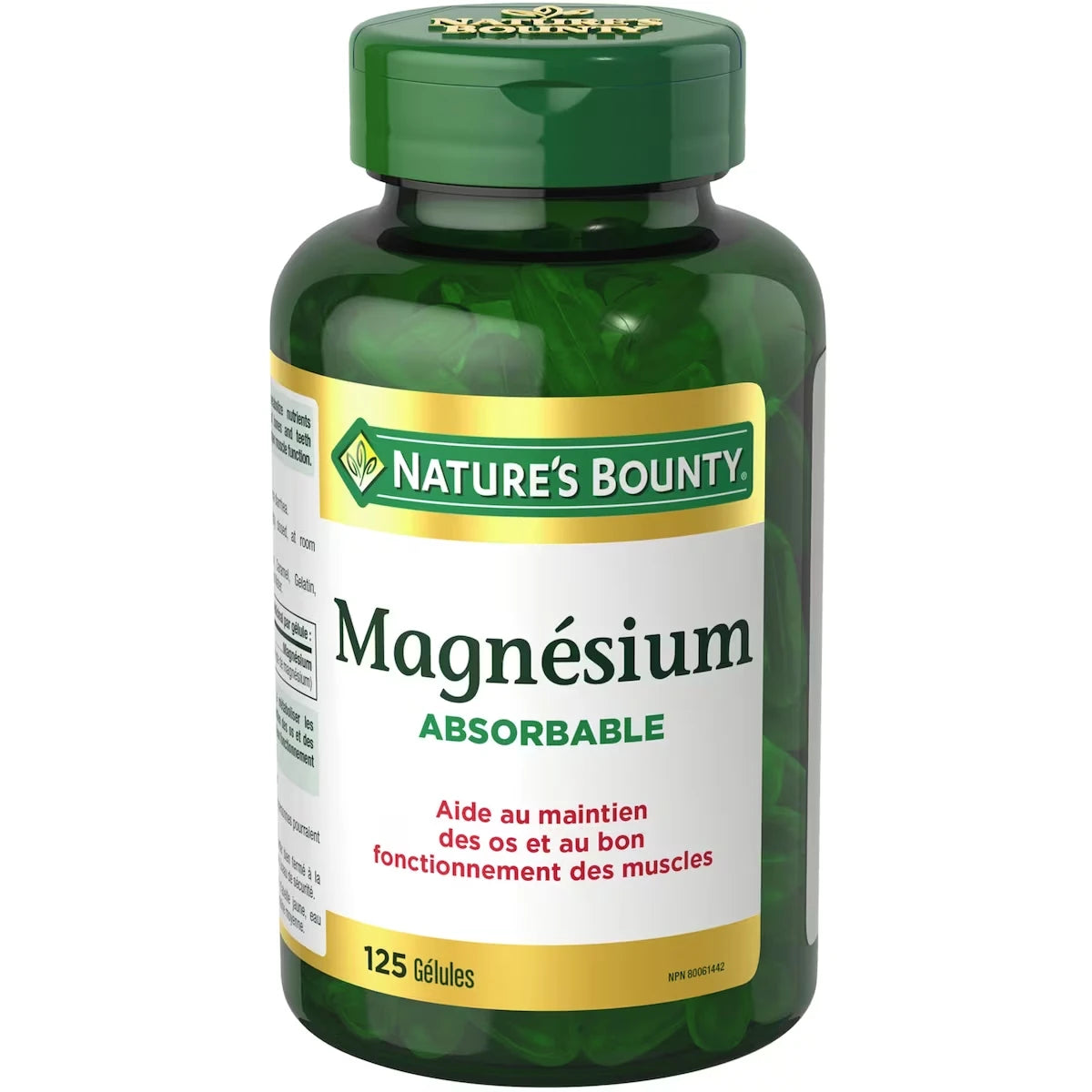 Magnésium absorbable