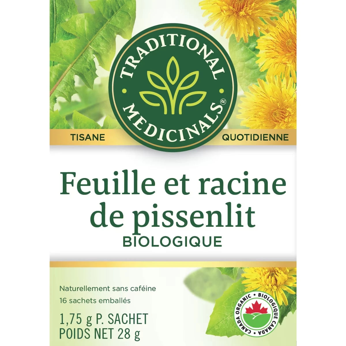 Feuille et racine de pissenlit