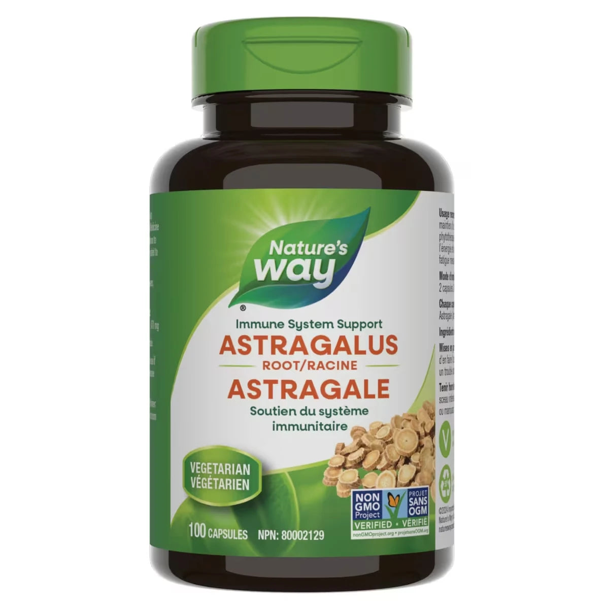 Racine d'astragale