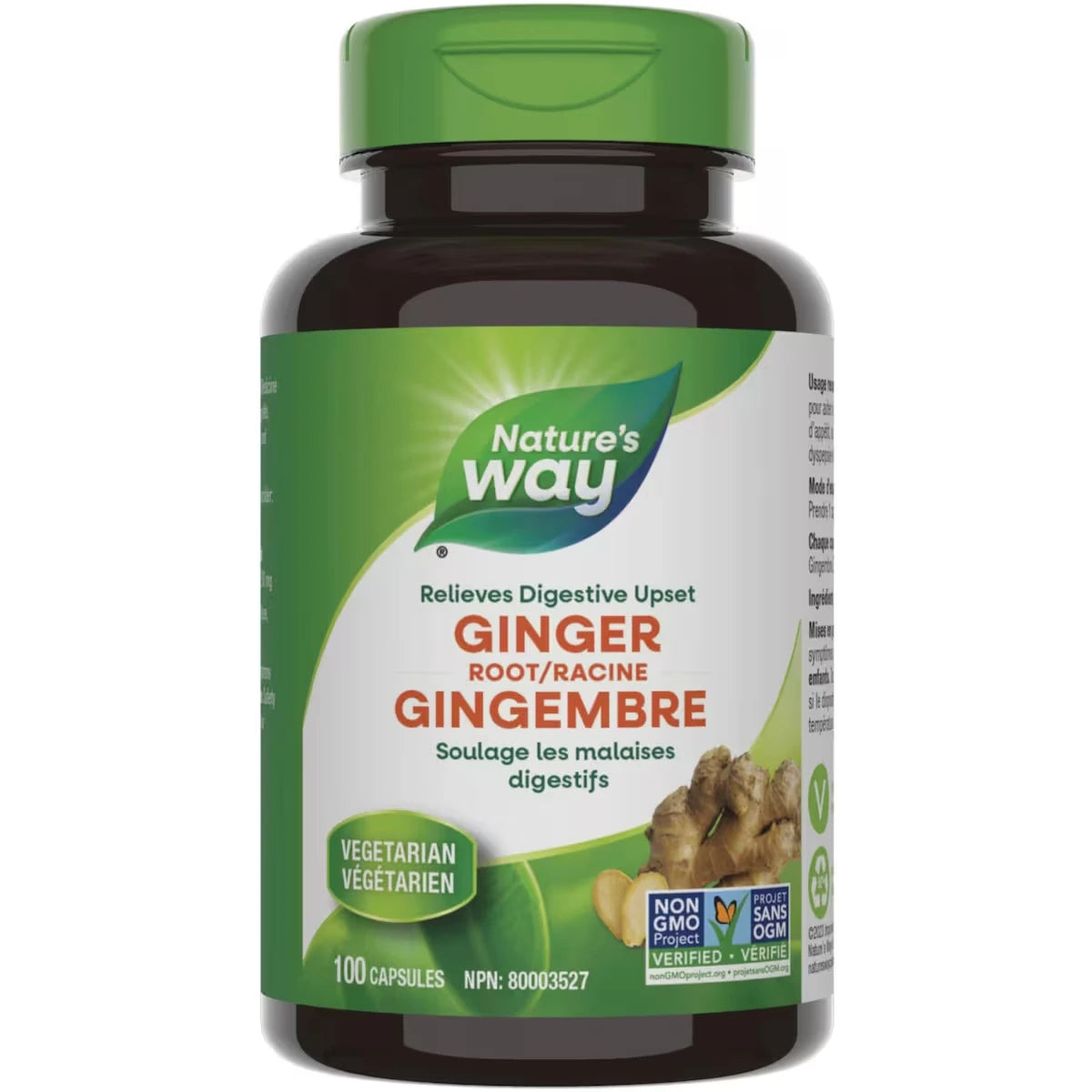 Racine de Gingembre