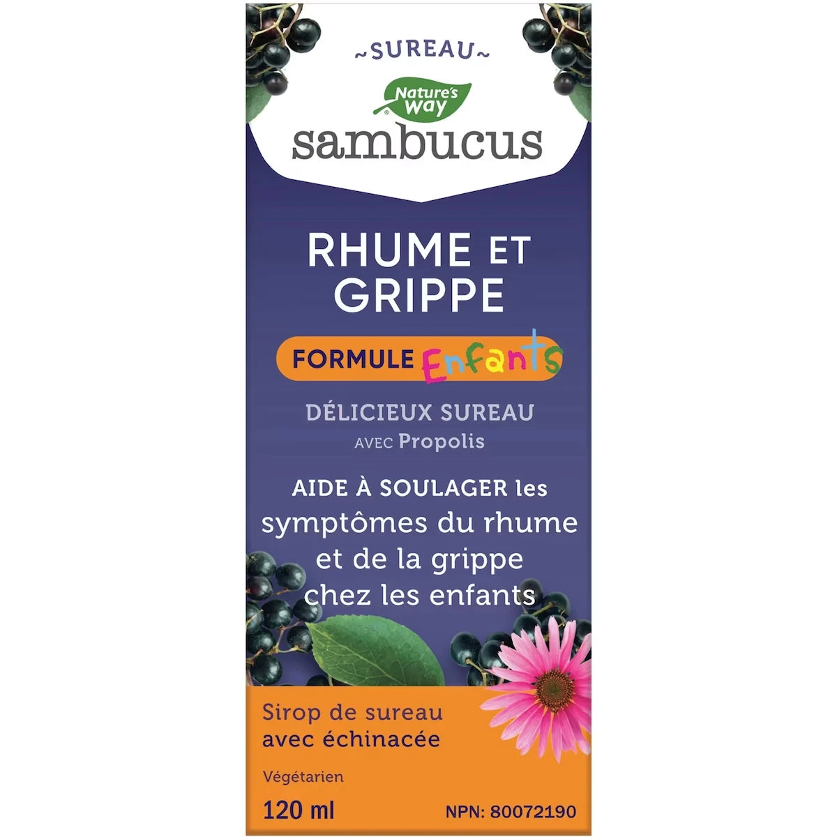 Soins Rhume et Grippe Sambucus pour Enfants de Nature’s Way, Sirop à saveur de baies, 120 mL