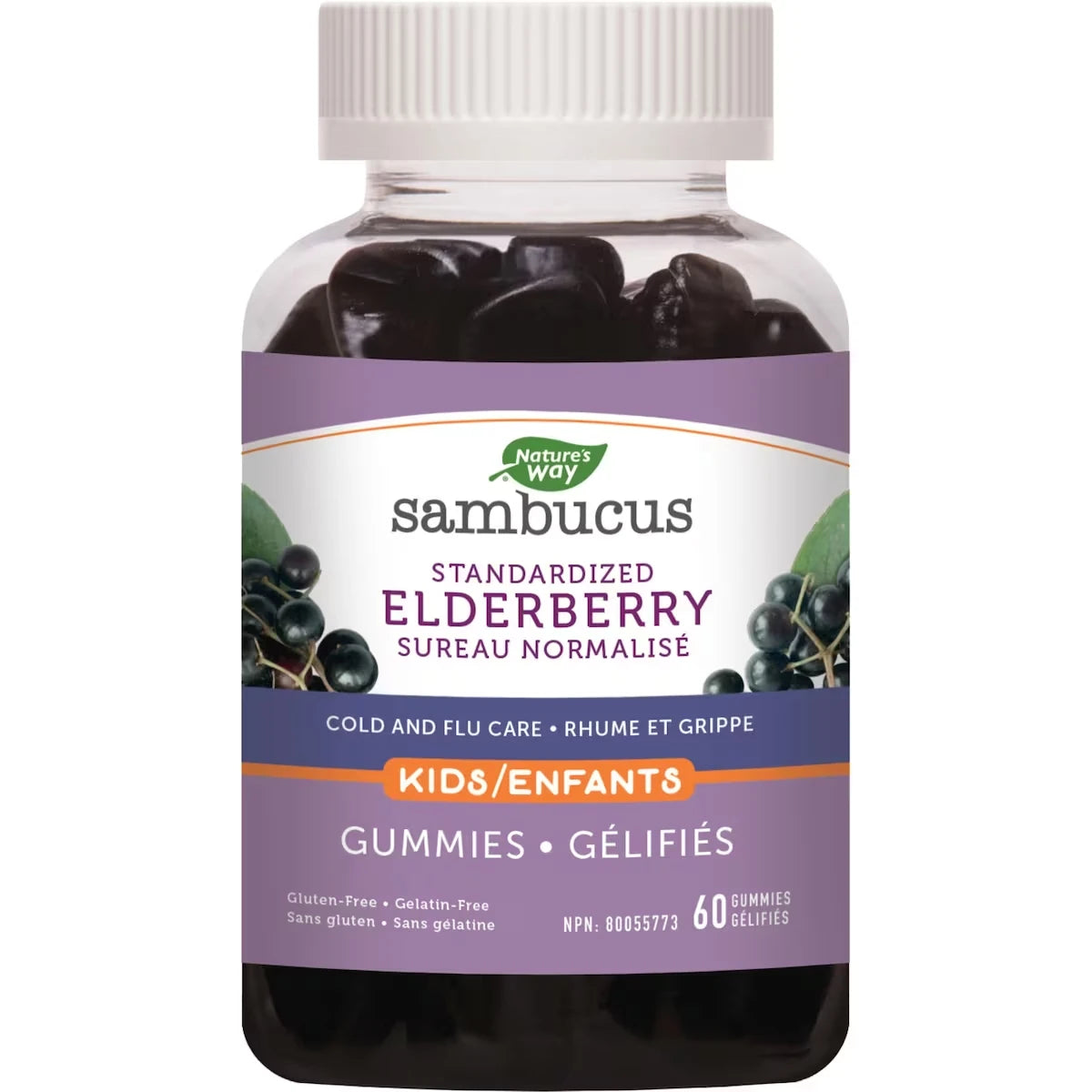 Soins Rhume et Grippe Sambucus pour enfants de Nature’s Way, Sureau normalisé avec vitamine C et zinc, Soutien immunitaire, 60 gélifiés