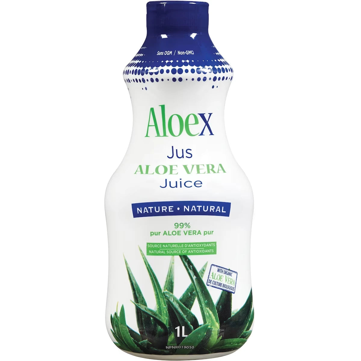 jus Aloe Vera