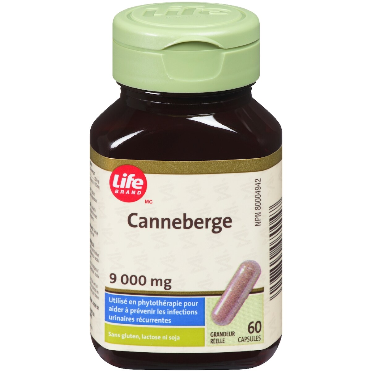 Canneberge 250 mg Concentré 36:1