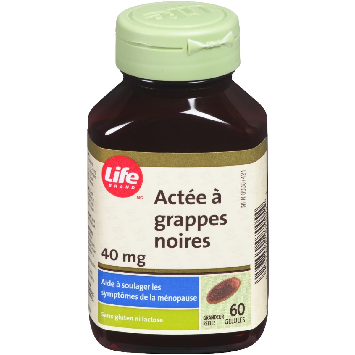 Actée à grappes noires 40mg