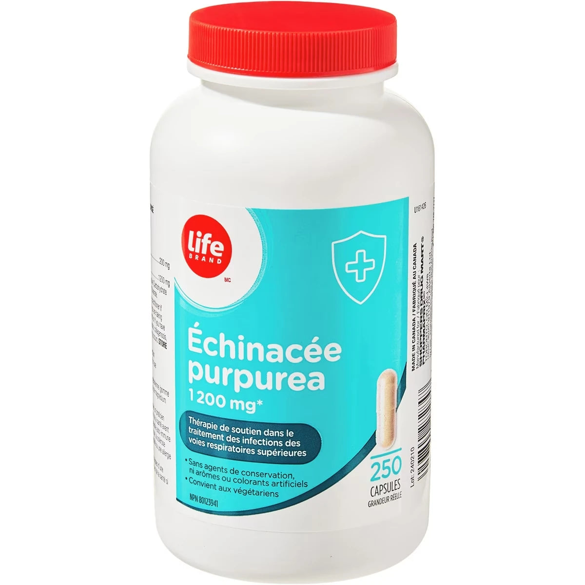 Échinacée Purpurea 1200 mg