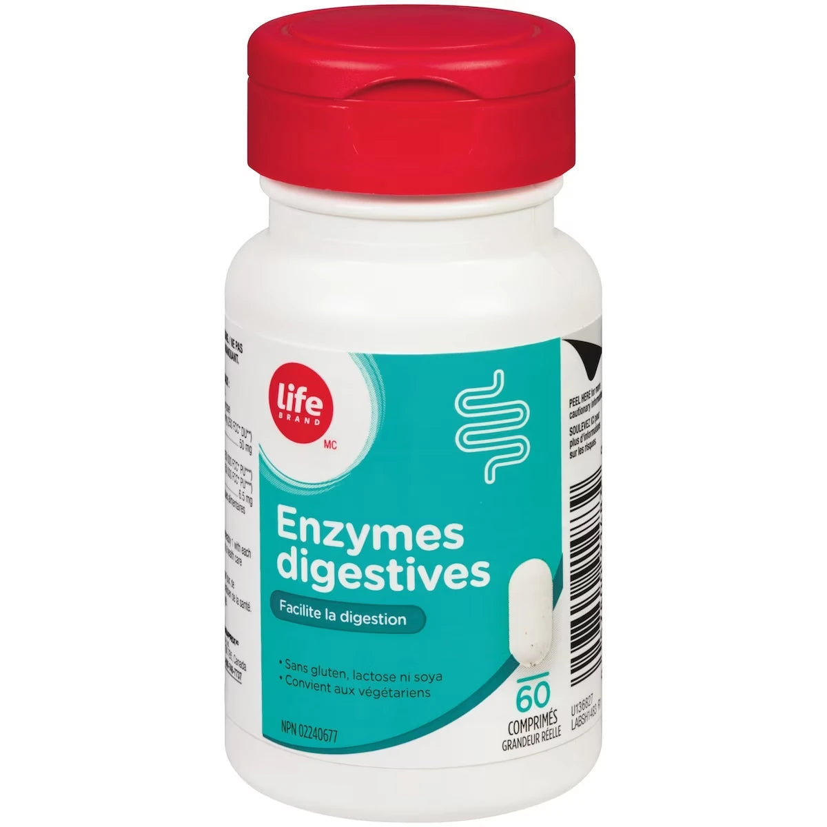 Enzymes digestives