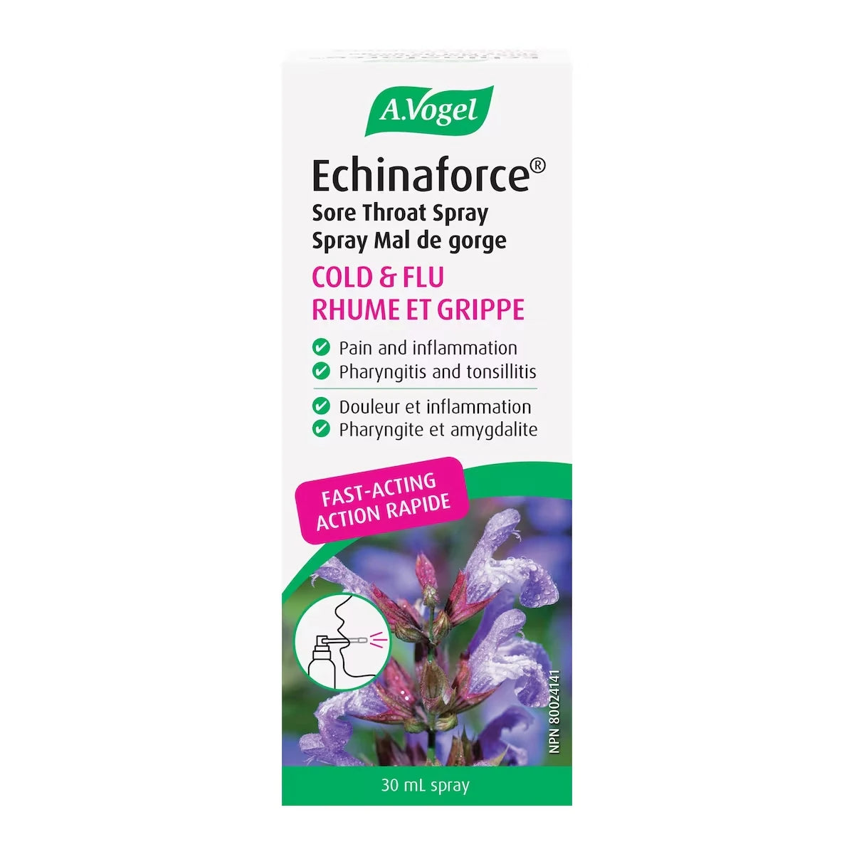 Echinaforce Spray Mal de gorge Remède à action rapide