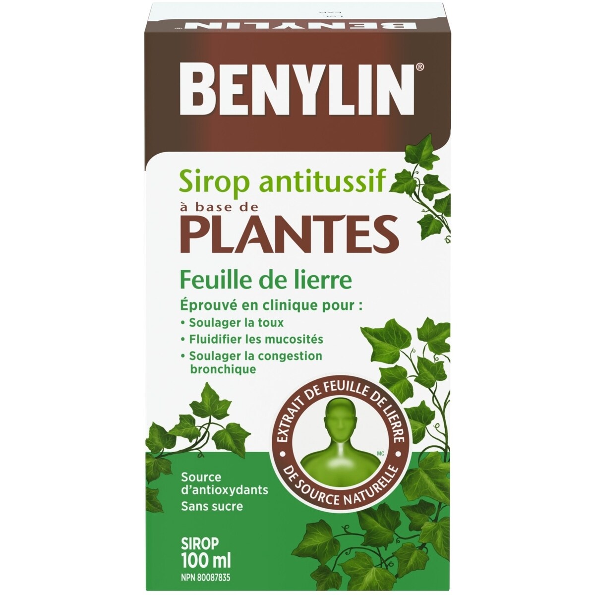 Sirop antitussif à base de plantes, Feuille de lierre