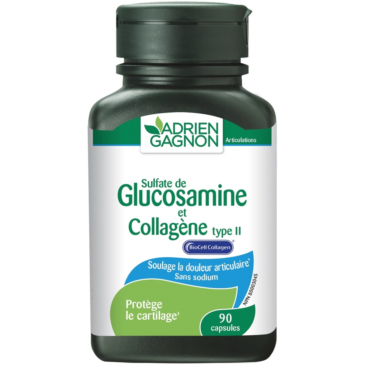 Glucosamine Collagène Type II