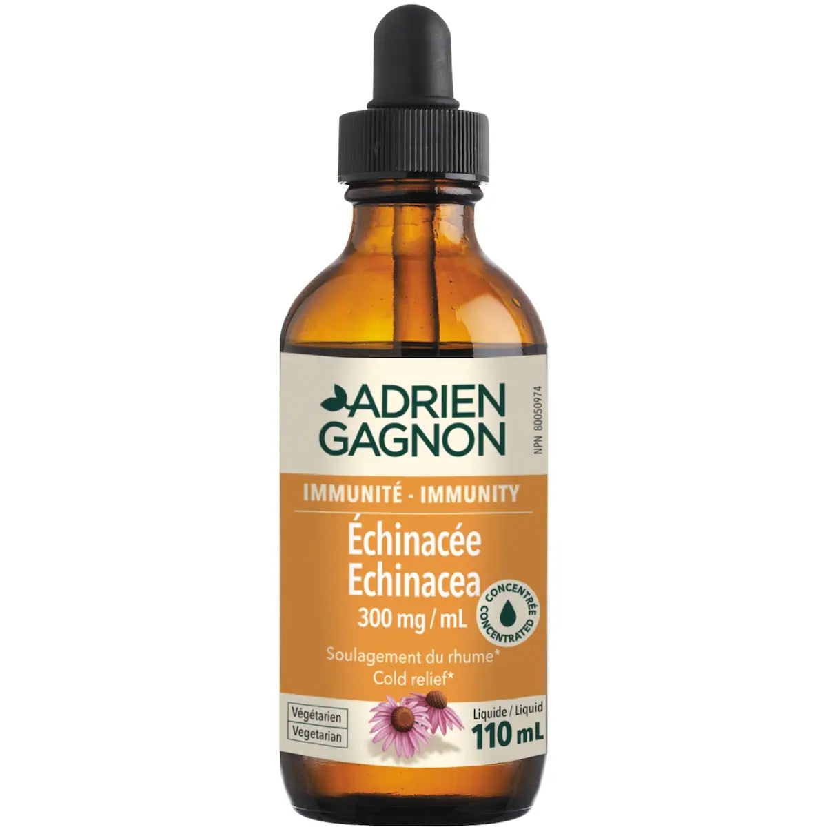 Échinacée en extrait liquide