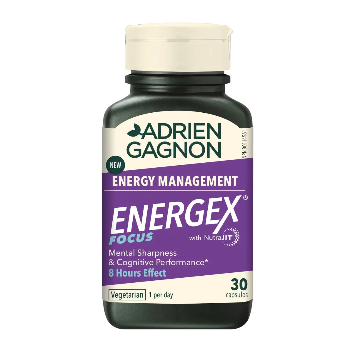 Energex Focus