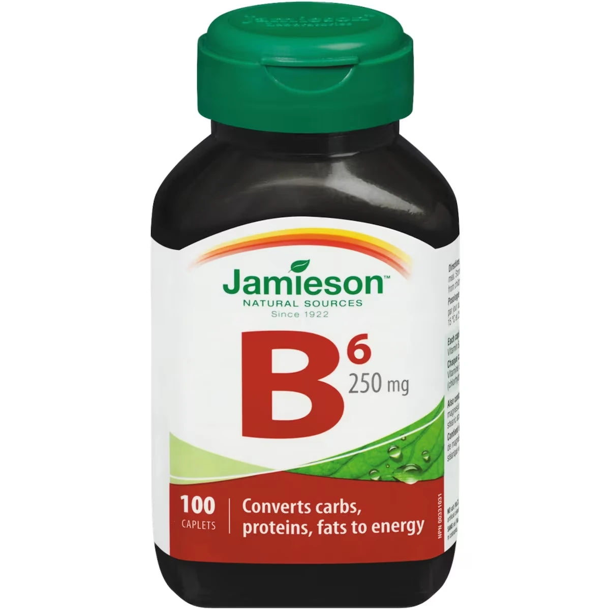 Vitamine B6 250 mg (Pyridoxine)