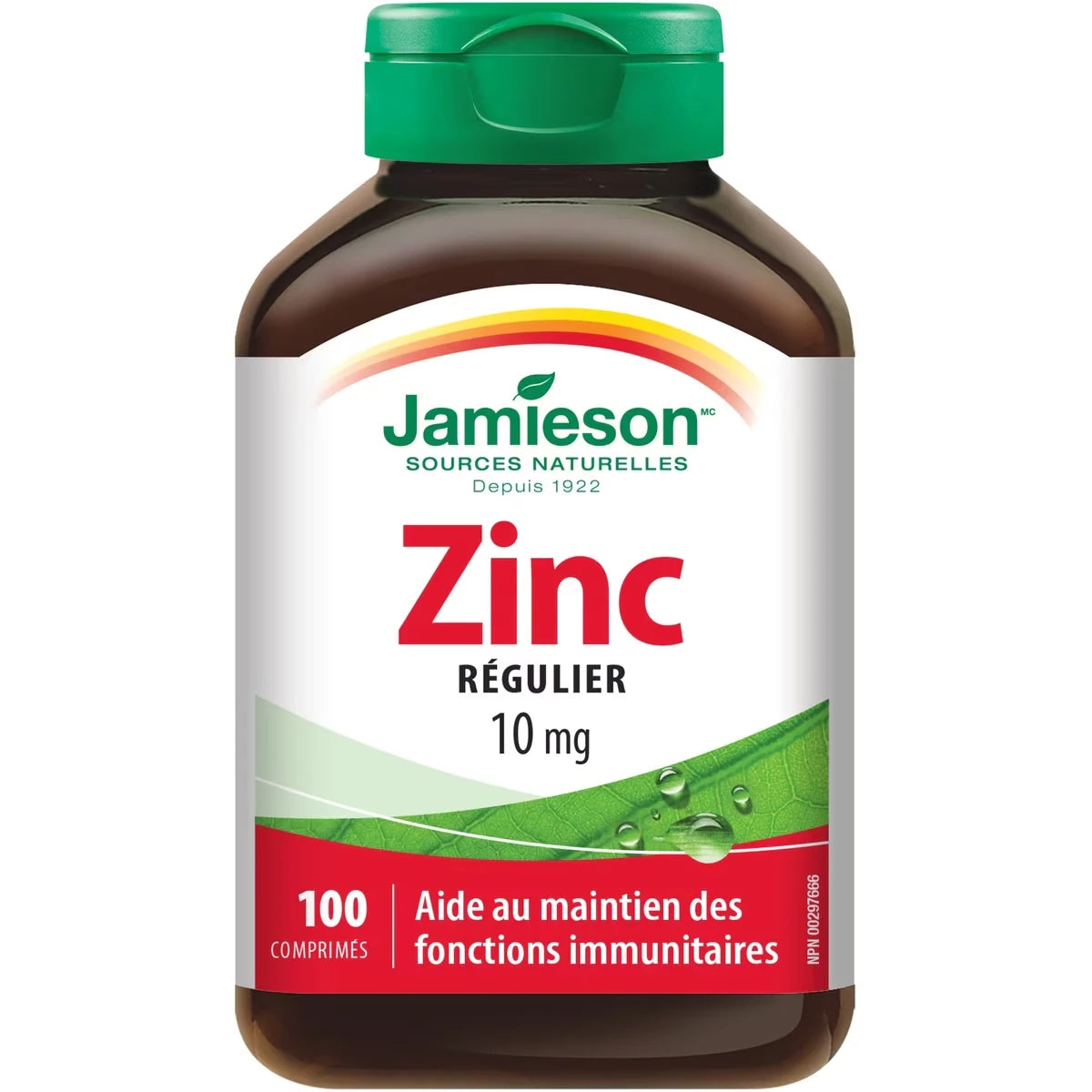 Zinc 10 mg