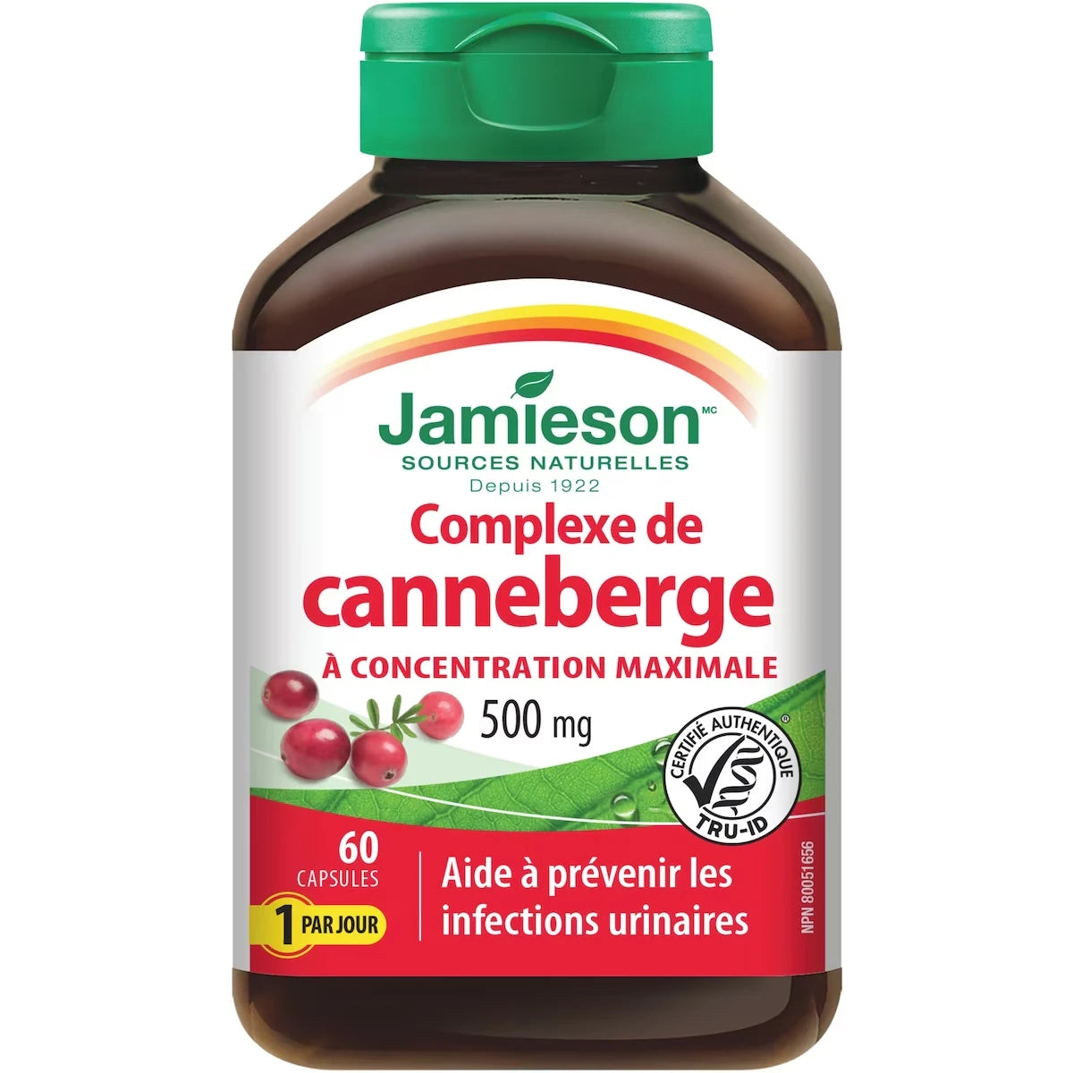 Complexe de canneberge - Concentration maximale