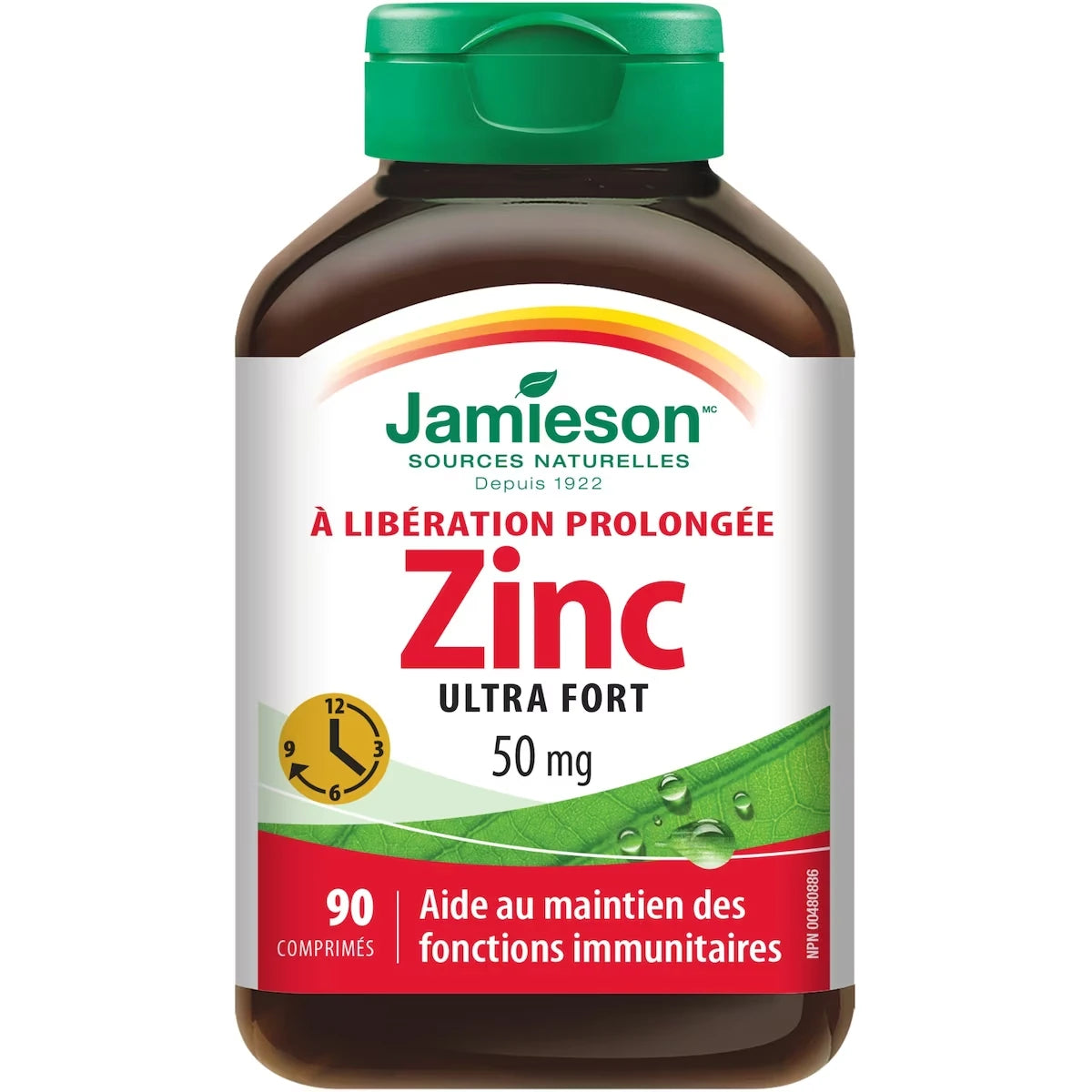 Zinc 50 mg à libération prolongée