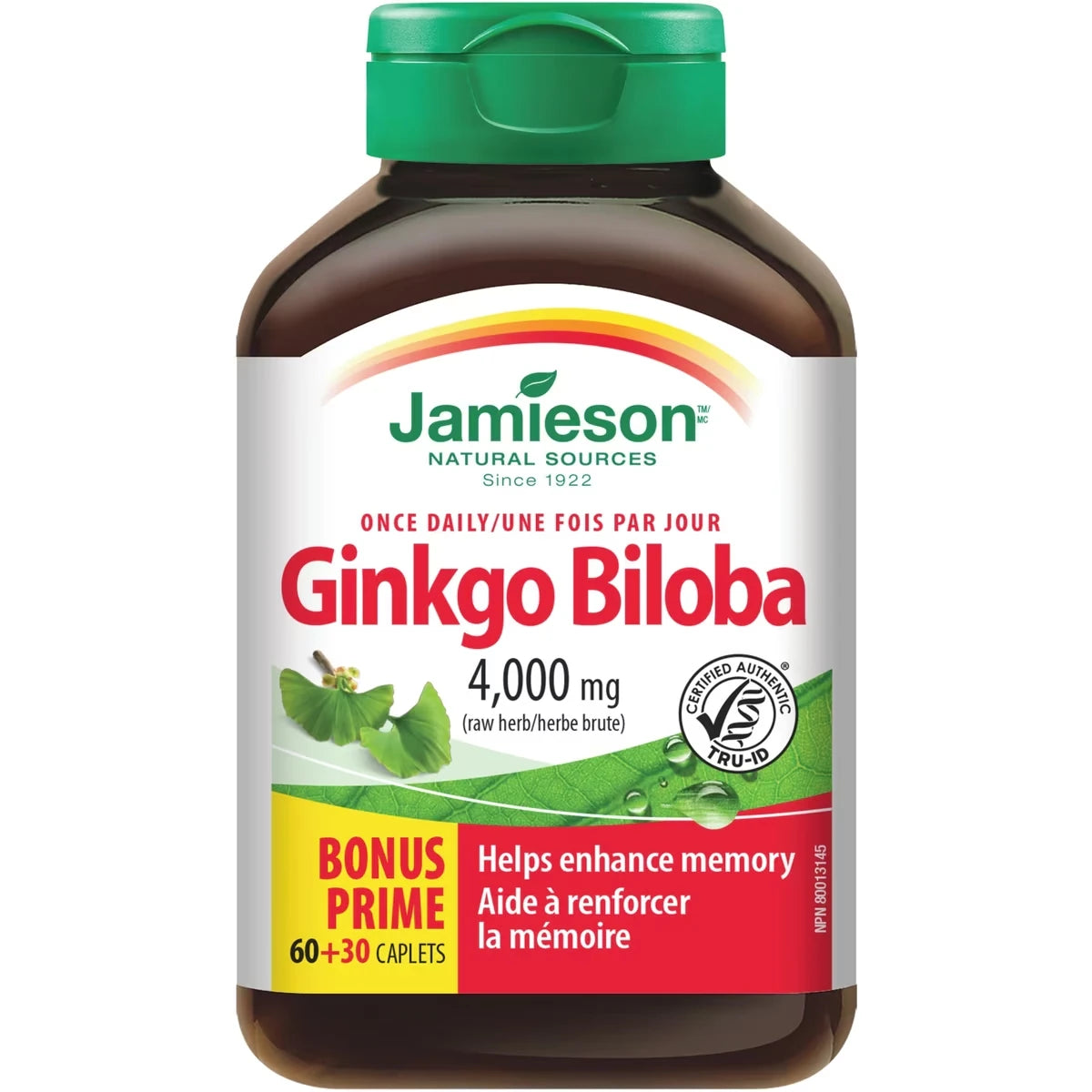 Ginkgo biloba 4 400 mg