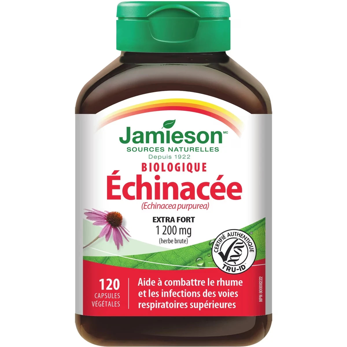échinacée biologique à puissance élevée 1 200 mg