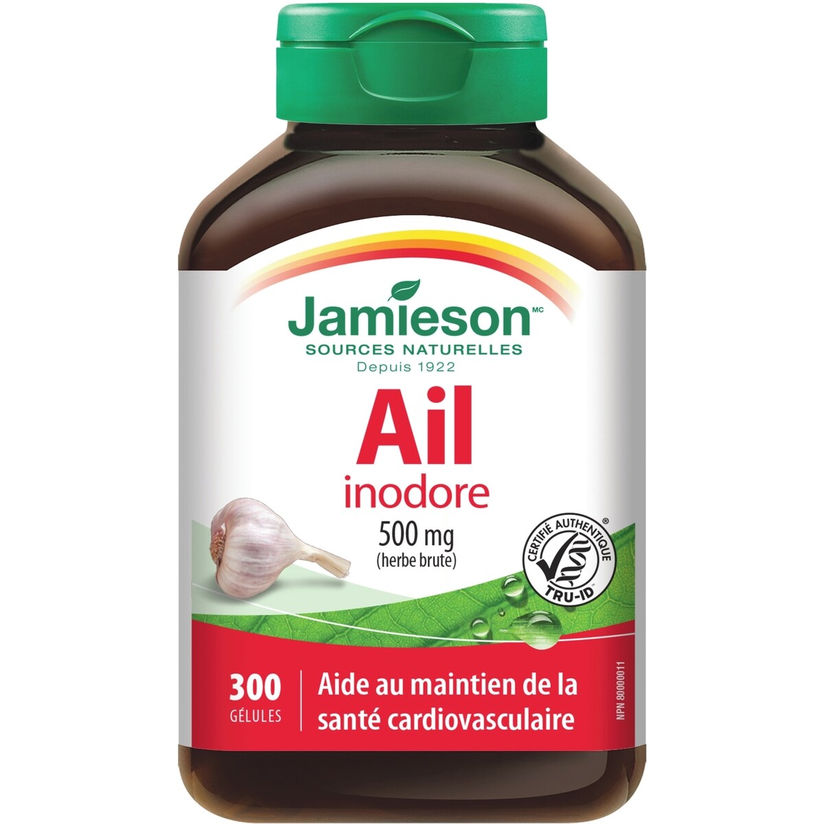 Ail inodore 500 mg