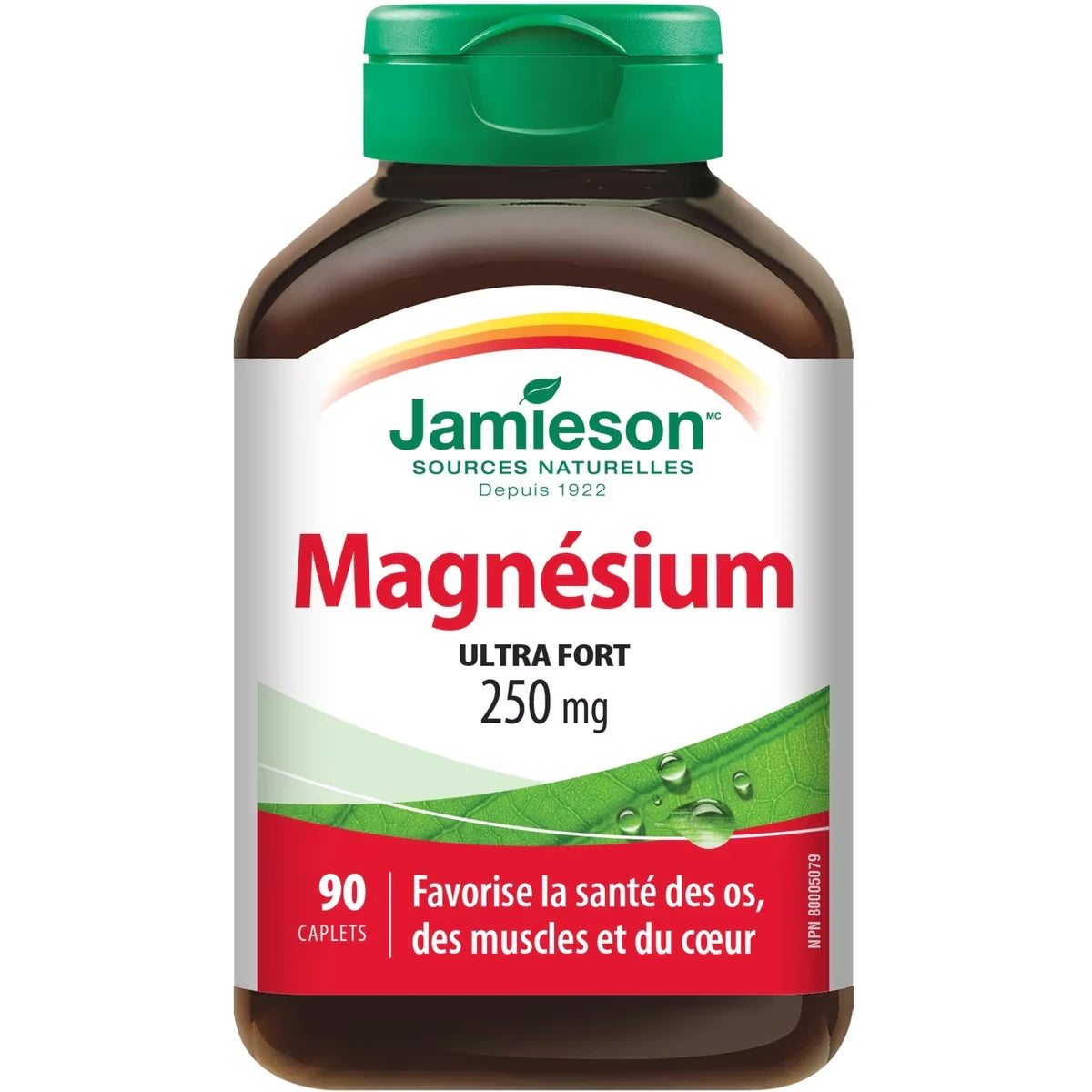 Magnésium 250 mg Puissance élevée