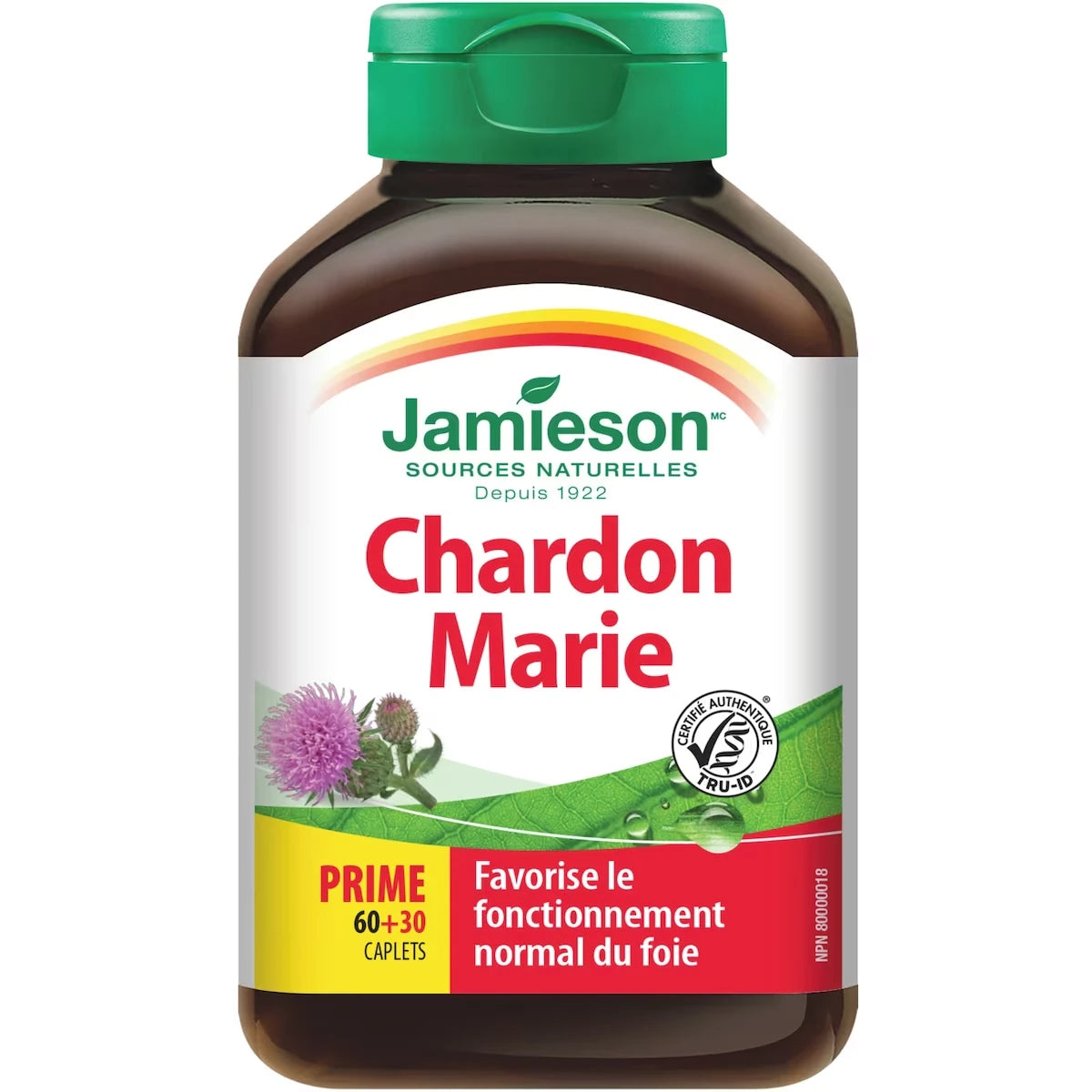 Chardon-Marie