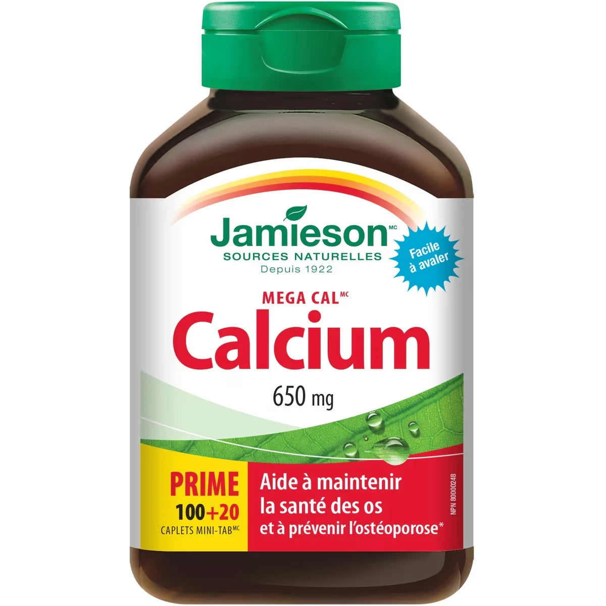 Mega Cal Calcium 650 mg