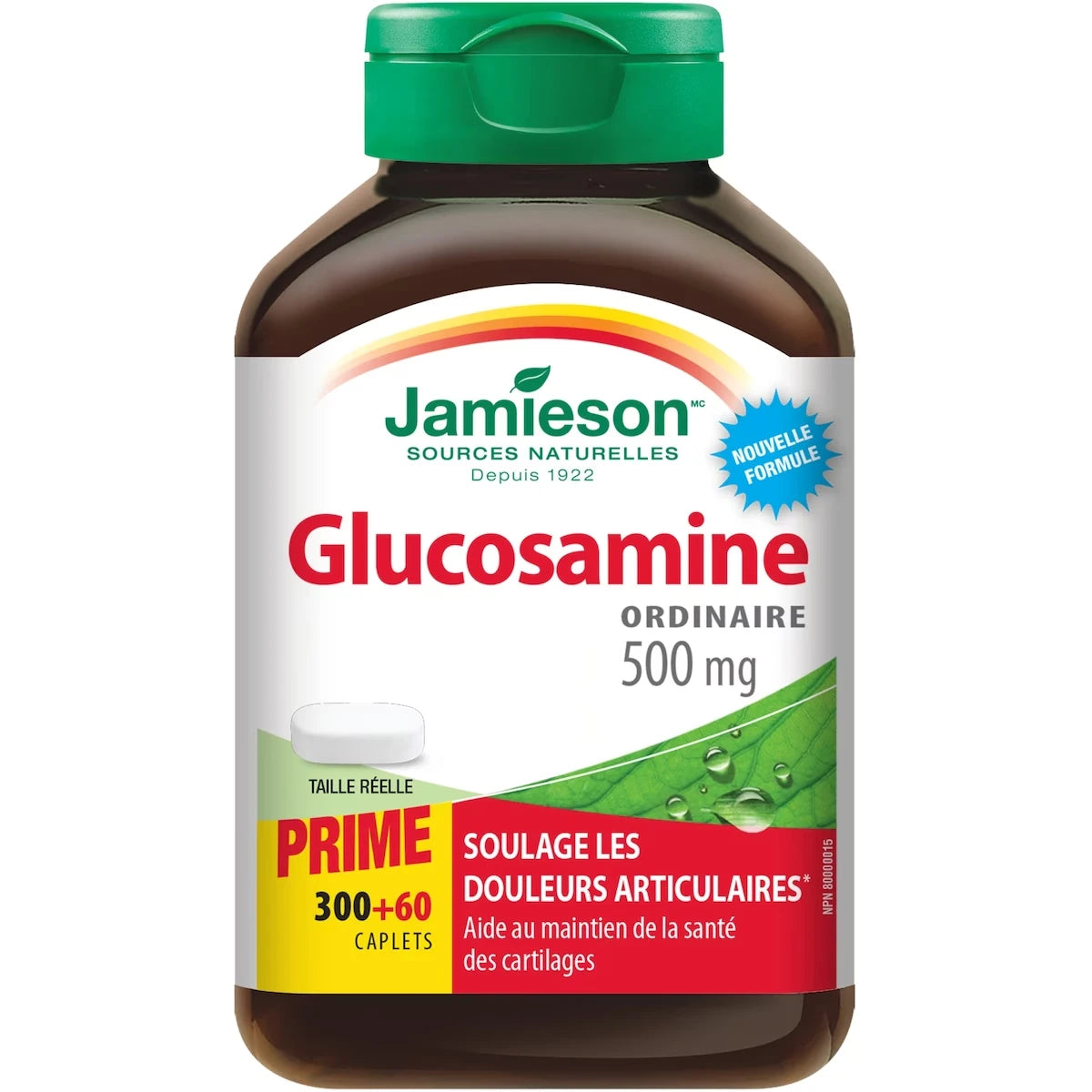 Glucosamine 500 mg