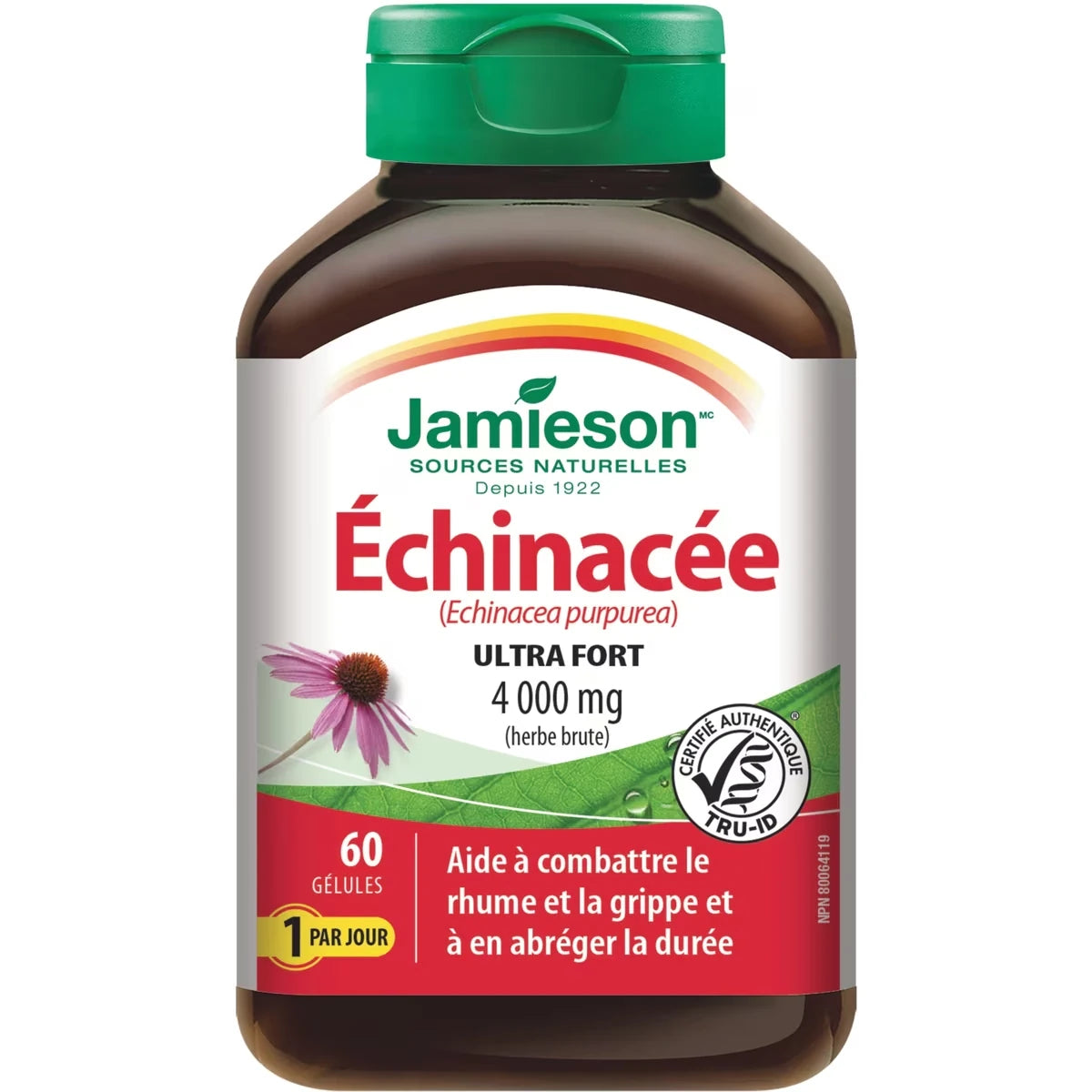 Échinacée 4 000 mg